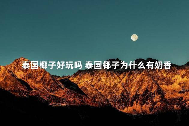 泰国椰子好玩吗 泰国椰子为什么有奶香